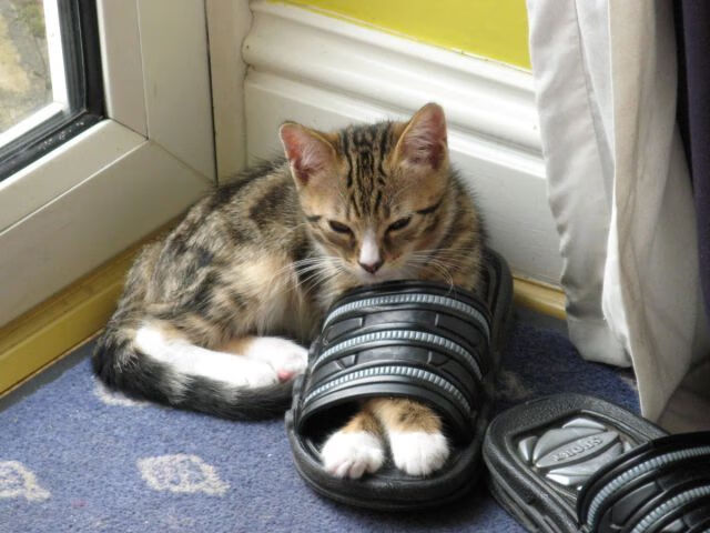 【团队合作的力量】队伍X完美配合赢得关键战,团队合作配合语句