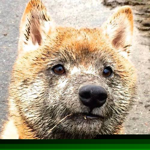 全国青少年“绿色篮球节”在北京盛大举行,倡导环保健康新生活