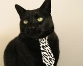 广东宏远再创佳绩，连续六次夺冠纪录，广东宏远连续几个冠军了