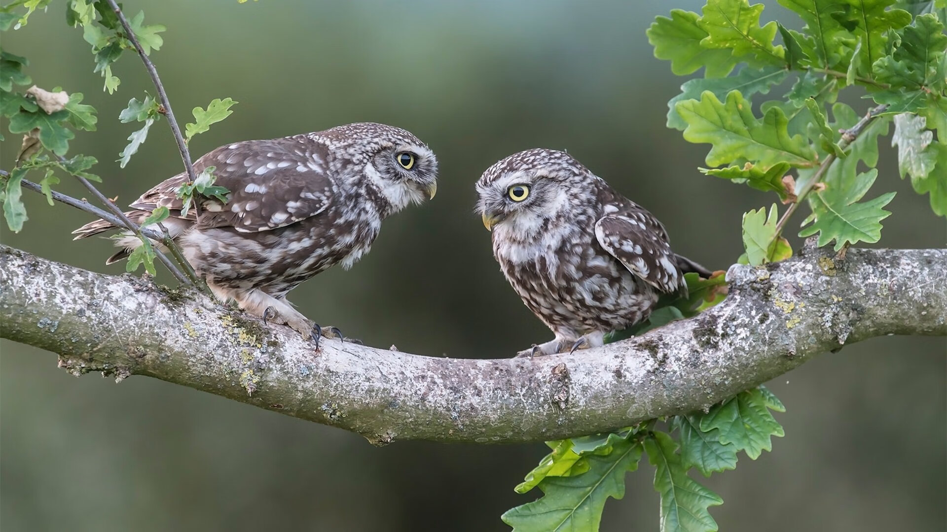 《跨界合作：电竞与时尚产业的精彩碰撞》，电竞跨商行业是什么意思