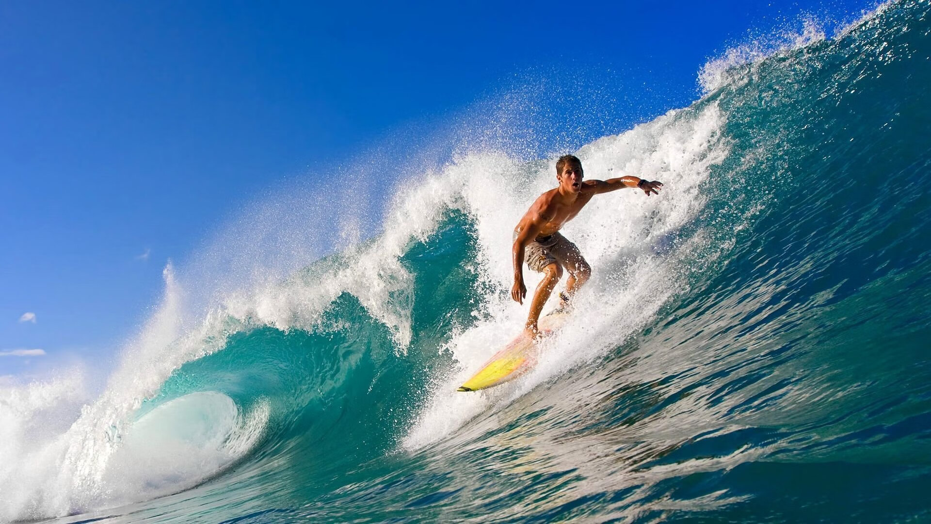 世界杯精彩纷呈:每一场都令人动容!,世界杯精彩赛事